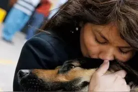 狗狗回汪星前想让你知道的12件事情，看完忍不住哭了出来..图片