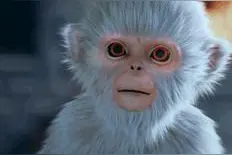 青云志张小凡的专属萌宠小灰上线，动态表情可爱至极图片