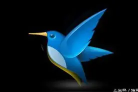 想对我进行下载限制？没门！图片