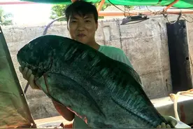 南油顶级钓场海钓大鱼图片