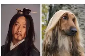 你没有见过的《芈月传》演员列表！图片