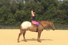 美女马背上做瑜伽，与爱马和谐相处令人羡图片