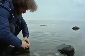 貌似简单  其实不然 