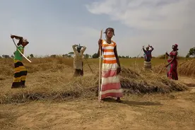 加纳普通百姓的生活是这个样子的，算中产吗？图片