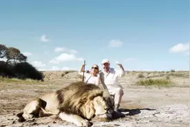 男女架好摄影机得意跟死狮合影，等它们反应过来时已经太迟了图片