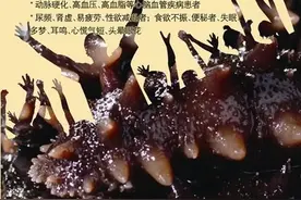 “参”藏不漏！“参”不见底！海参的营养价值究竟有多大?图片