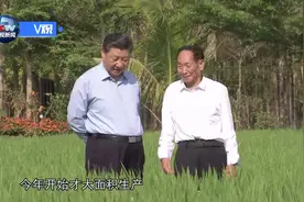 「独家V观」袁隆平：向亩产1200公斤攻关视频封面