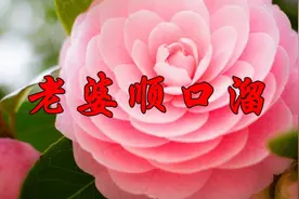 2018最新歌曲《老婆顺口溜》老婆就是天，有酒也有烟，男人都听听视频封面