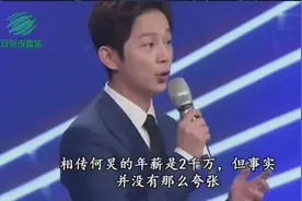 看谢娜的年收入，董卿的年收入，何炅的年收入，真是天壤之别视频封面