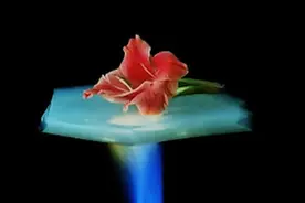 最轻最坚固的“果冻”，跟空气一样轻，可承受1200度高温视频封面