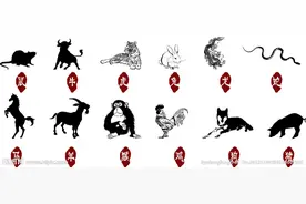 十二生肖谁把兄弟当手足保护，自己却伤痕累累图片