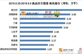 沈阳荷兰村版块成新晋之“王” 销量登顶榜首后劲足图片