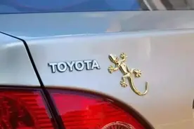 为什么车尾要贴“壁虎”图片