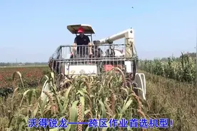 收割机首选！沃得锐龙收割机小米收割视频