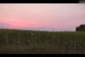 稀有的思域十代1.5T改装案例