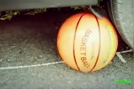 篮球在汽车碾过后会爆吗？结果让人大掉眼镜哦！视频封面