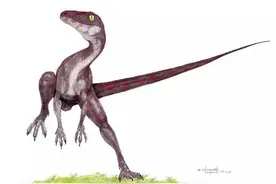 小型肉食性恐龙怎样捕食？图片