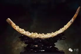 来自西伯利亚永冻层的珍品——猛犸牙雕图片