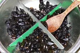 吃货天堂--梧州的美食和特产(梧州全攻略13)图片