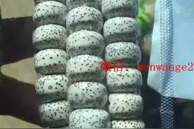 星月菩提挂瓷秘籍图片