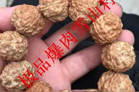 什么样的金刚有盘玩价值？图片