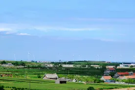 一个关于精神病得治的真实故事！图片