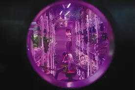 揭秘“月宫”生活：种菜养虫、上网追剧图片