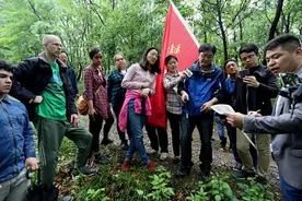 何首乌晒干泡水喝就能乌发？参加这次采草药活动才知真相图片