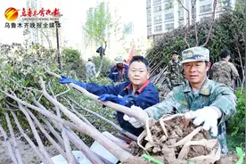 百万株乔灌木赠城乡居民图片
