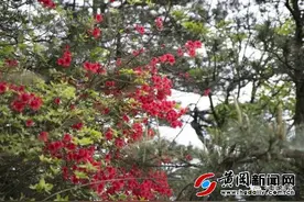 滑雪、漂流、赏景 浠水三角山五一开园图片