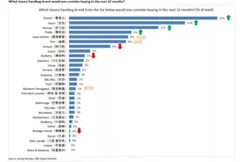 中国买家偏爱Chanel和Hermès 冷落Burberry和BV包图片
