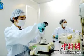 销量领先和成天下槟榔新工艺保障食品安全图片