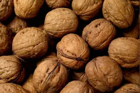 赵武忠和莫合旦的核桃“情缘”图片