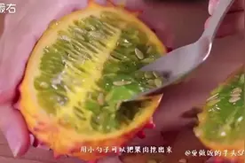 这个小瓜怎么吃？带你打开一个刺角瓜！