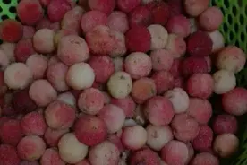 想吃杨梅干又担心卖的不干净？4步教你自制杨梅干来试试吧！图片