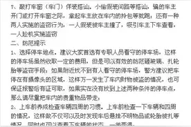 车内物品防盗手册图片