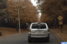 考驾照的那些事，说起都是把把心酸泪，附搞笑动态图图片