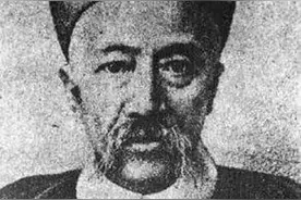 [望江近现代名人]陈树屏图片