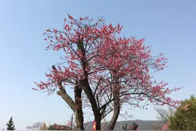 iPhone中无需额外软件减小图片容量，压缩图片大小的方法图片