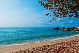 苏梅岛，尽情放逐夏日的诱惑图片