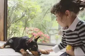 与小主人一起长大的狗狗，真是太有爱了！图片