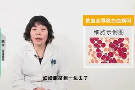 贫血会导致白血病吗？视频封面
