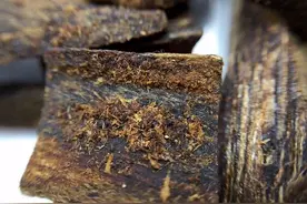 沉香，岂止是嗅觉的享受图片