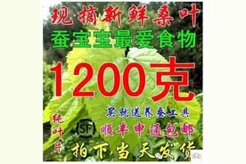 宜州人开眼吧：宜州到处都有的东西淘宝上卖疯了！图片