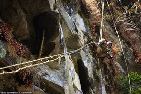 尼泊尔采蜜人冒死登峭壁采蜜图片