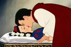 猫咪与箱子不得不说的故事图片