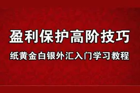 ​2016-6-15 纸黄金白银外汇交易入门学习教程图片