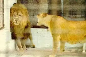 和西安妹子谈了三年恋爱，我想说说我的感受图片