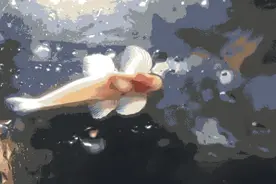 活久见系列之--  泥鳅跃龙门？！图片