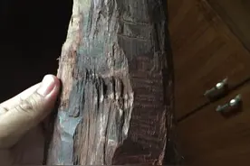 边角料做个勺子，晚上回去喝汤！图片